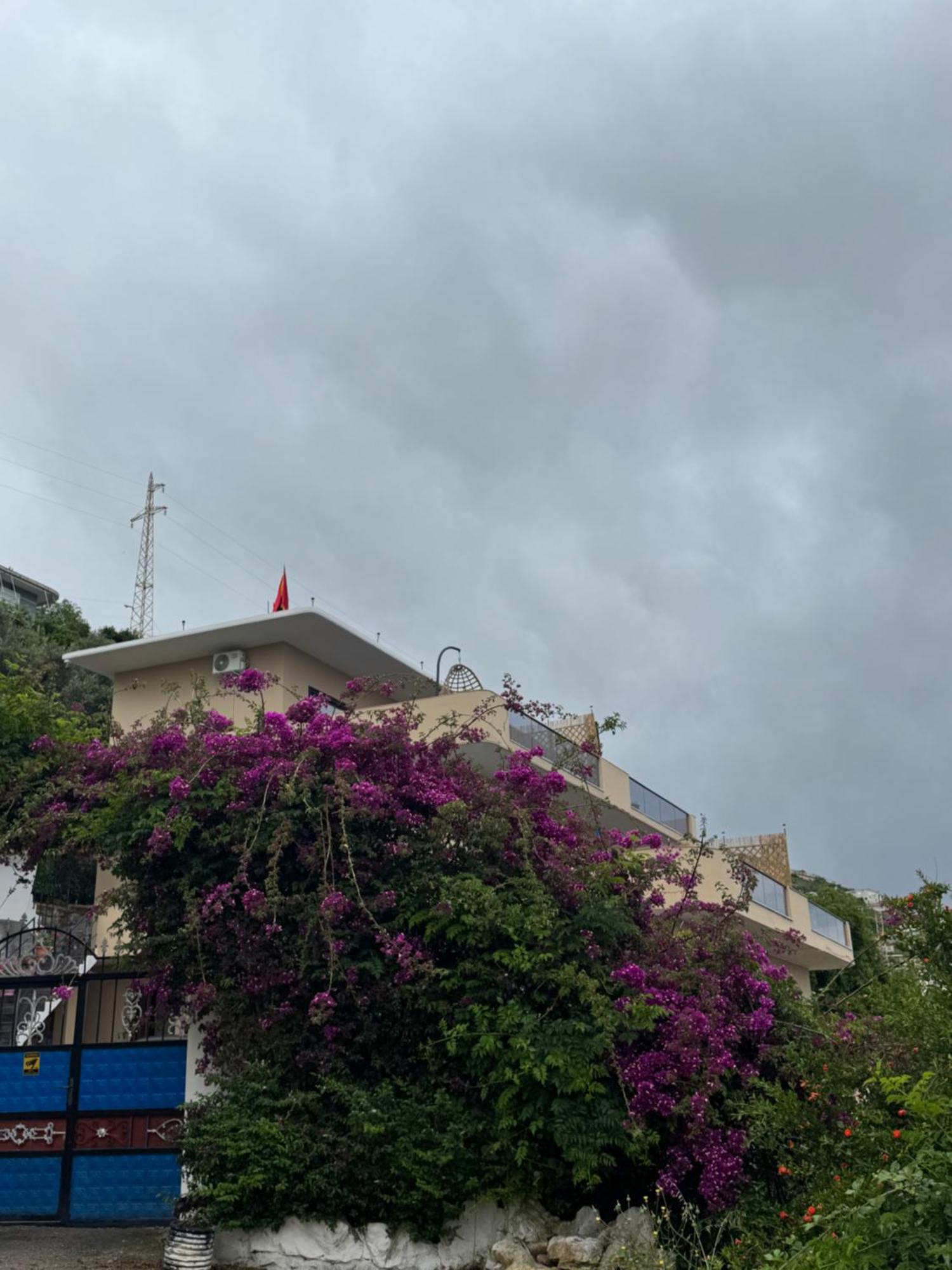 Aloha And * Vlorë