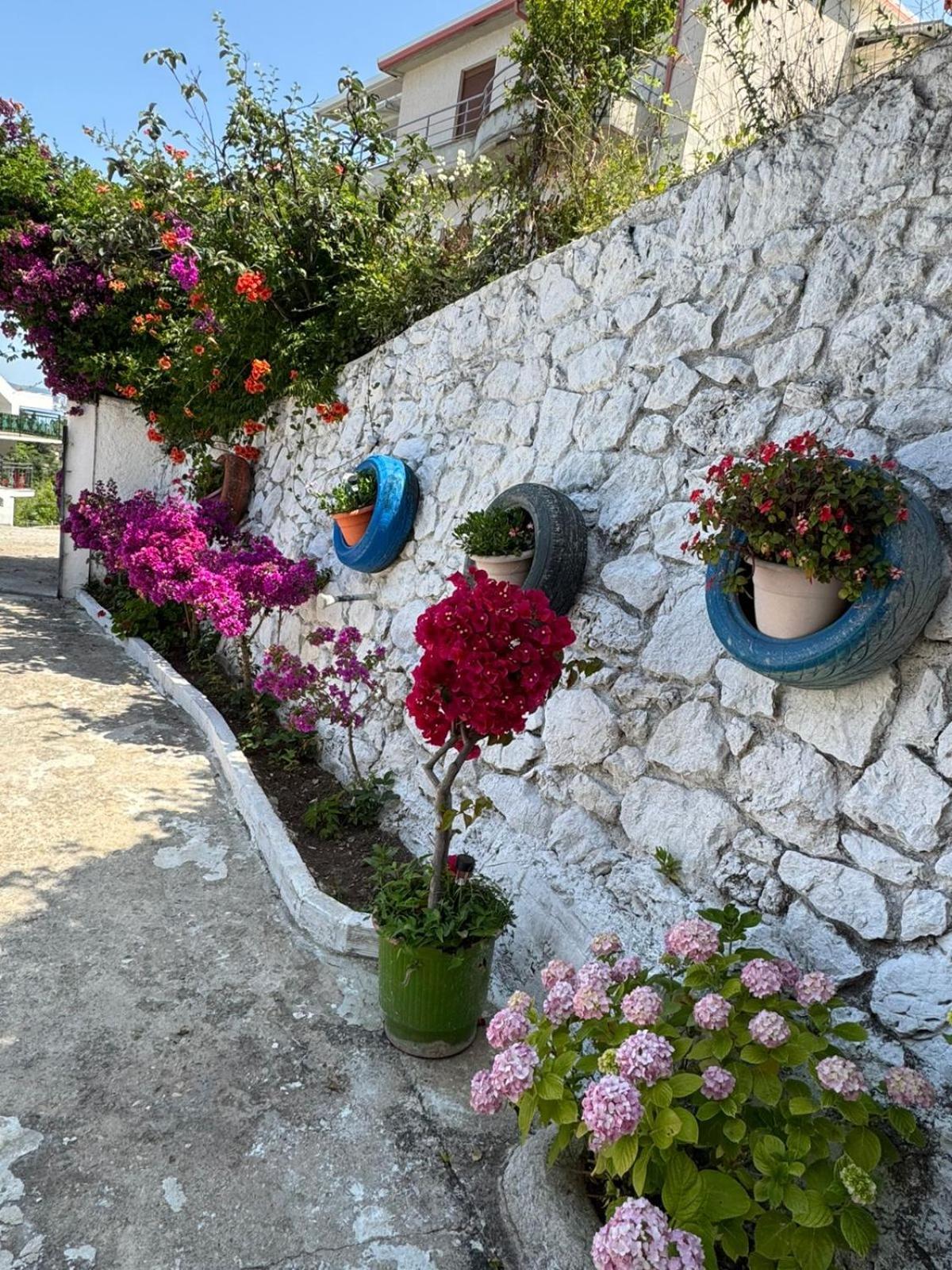 Gasthuis Aloha And Vlorë